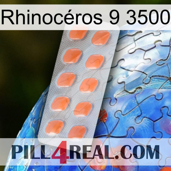 Rhinocéros 9 3500 26
